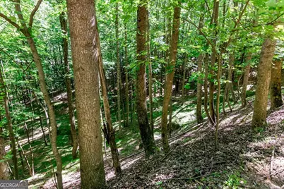 Lot 26 Estates Drive, Ellijay, GA 30540 - Photo 9
