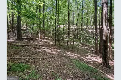 Lot 26 Estates Drive, Ellijay, GA 30540 - Photo 3