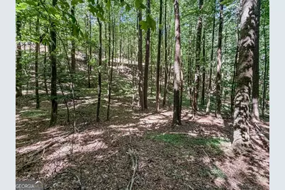 Lot 26 Estates Drive, Ellijay, GA 30540 - Photo 11