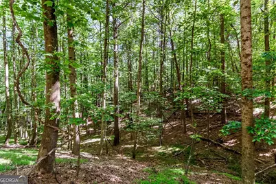 Lot 26 Estates Drive, Ellijay, GA 30540 - Photo 33