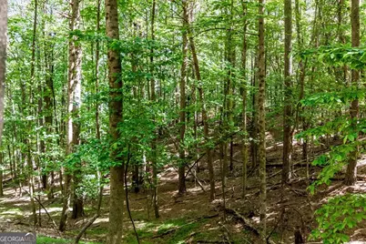 Lot 26 Estates Drive, Ellijay, GA 30540 - Photo 29