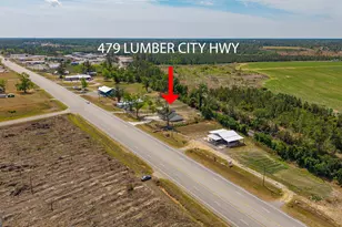 479 Lumber City Hwy, Hazlehurst, GA 31539 - Photo 7