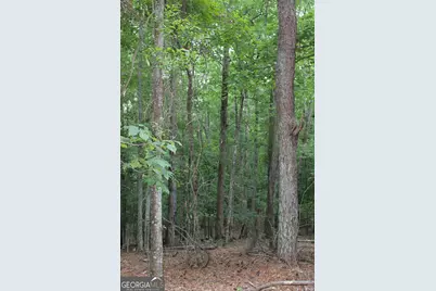 1 Mount Moriah Road, Auburn, GA 30011 - Photo 7