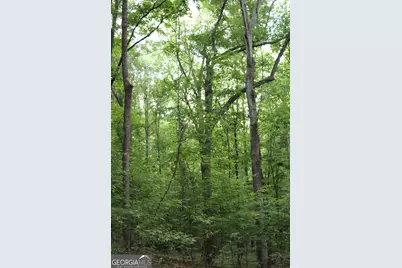 1 Mount Moriah Road, Auburn, GA 30011 - Photo 13