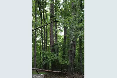1 Mount Moriah Road, Auburn, GA 30011 - Photo 5