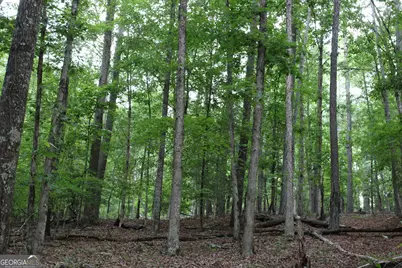 1 Mount Moriah Road, Auburn, GA 30011 - Photo 29