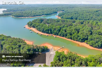 220 Trout Drive, Lavonia, GA 30553 - Photo 49