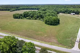 454 Tom Bell Rd, Milner, GA 30257 - Photo 3