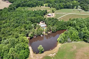 454 Tom Bell Rd, Milner, GA 30257 - Photo 9