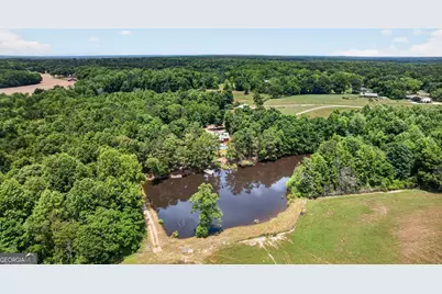 454 Tom Bell Road, Milner, GA 30257 - Photo 1