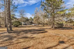 128 William Smith Ln NE, Ludowici, GA 31316 - Photo 9