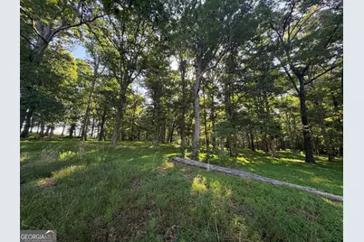 0 Jim Thomas Road, Demorest, GA 30535 - Photo 33