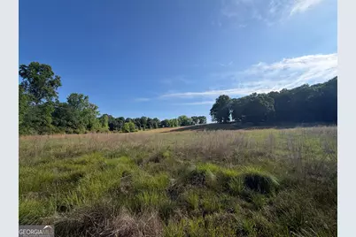 0 Jim Thomas Road, Demorest, GA 30535 - Photo 19