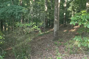 330 Caldwell Cir, Athens, GA 30606 - Photo 1