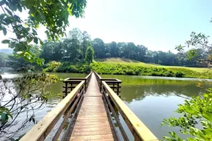 26 Chestnut Oak Point, Jasper, GA 30143 - Photo 25