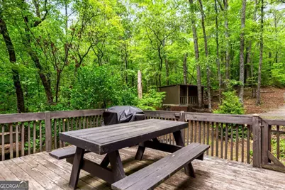 317 North Pine Road, Ellijay, GA 30536 - Photo 41