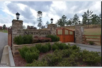 Lot 48 Water Oak Lane, Blairsville, GA 30512 - Photo 11