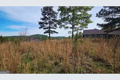 Lot 48 Water Oak Lane, Blairsville, GA 30512 - Photo 5