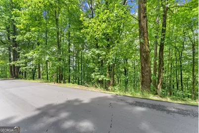 Lt 30 Mountainside Drive, Cleveland, GA 30528 - Photo 3
