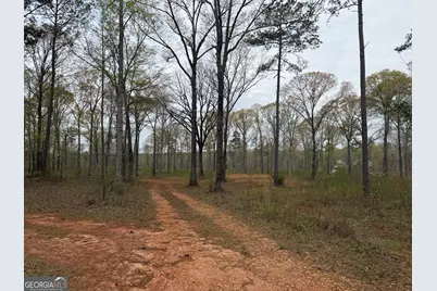 0 Hwy 100, Franklin, GA 30217 - Photo 31