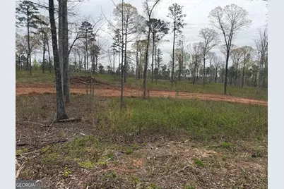 0 Hwy 100, Franklin, GA 30217 - Photo 33