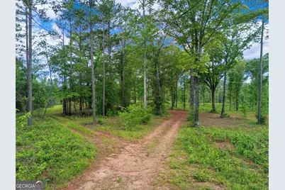 0 Hwy 100, Franklin, GA 30217 - Photo 9