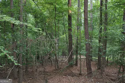 3 Mount Moriah Road, Auburn, GA 30011 - Photo 1