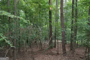 3 Mt Moriah Rd, Auburn, GA 30011 - Photo 1