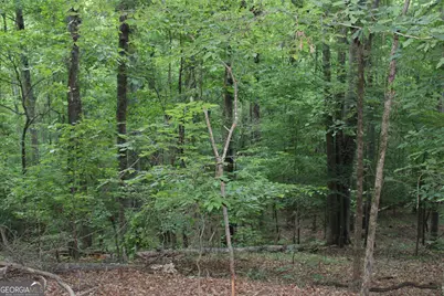 3 Mount Moriah Road, Auburn, GA 30011 - Photo 7