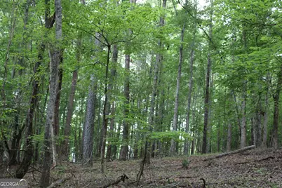 3 Mount Moriah Road, Auburn, GA 30011 - Photo 27