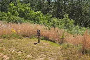 Lot 234 Highgrove Dr, Talking Rock, GA 30175 - Photo 1