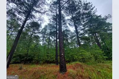 2 Smith Rocky Branch Road, Carlton, GA 30627 - Photo 7