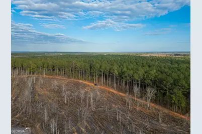 2 Smith Rocky Branch Road, Carlton, GA 30627 - Photo 3