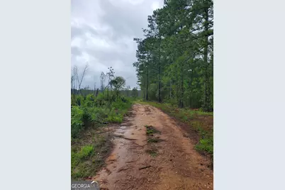 2 Smith Rocky Branch Road, Carlton, GA 30627 - Photo 5