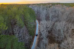 2 Smith Rocky Branch Rd, Carlton, GA 30627 - Photo 1