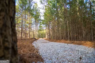 3 Smith Rocky Branch Rd, Carlton, GA 30627 - Photo 1