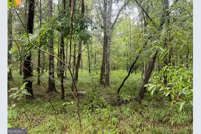 3 Smith Rocky Branch Road, Carlton, GA 30627 - Photo 11