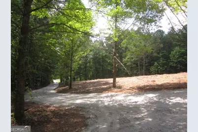 00 Hwy 136 W, Talking Rock, GA 30175 - Photo 11