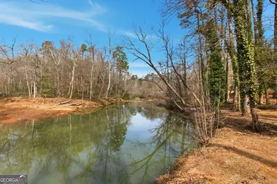 151 Ivy Street, Demorest, GA 30535 - Photo 9