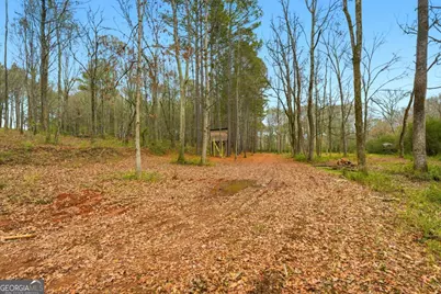 1295 Double Bridge Road, Winder, GA 30680 - Photo 53