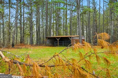 1295 Double Bridge Road, Winder, GA 30680 - Photo 49