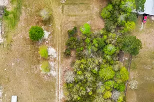 1298 Lee Rd, Pembroke, GA 31321 - Photo 21