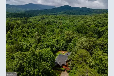 93 Deer Hunter Trail #1A, Blue Ridge, GA 30513 - Photo 53