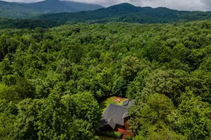 93 Deer Hunter Trail, Blue Ridge, GA 30513 - Photo 53