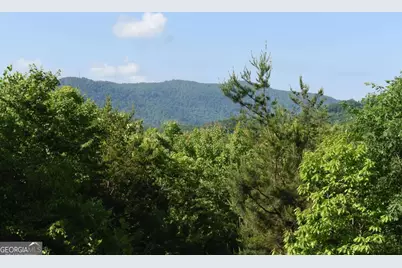 93 Deer Hunter Trail #1A, Blue Ridge, GA 30513 - Photo 25