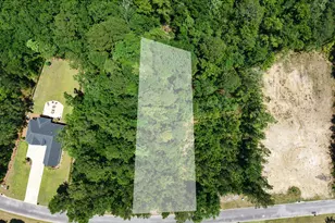 Lot 148 Sanford Dr, Waverly, GA 31565 - Photo 1