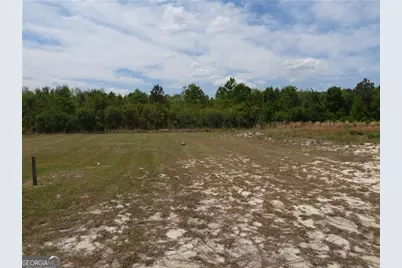 5915 Rye Patch Road, Ludowici, GA 31316 - Photo 19