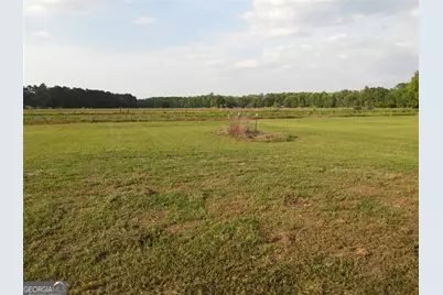 5915 Rye Patch Road, Ludowici, GA 31316 - Photo 13