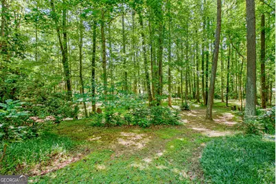 175 Ashley Creek Drive, Newnan, GA 30263 - Photo 9