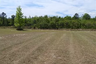 430 Summerhill Dr, Ludowici, GA 31316 - Photo 25